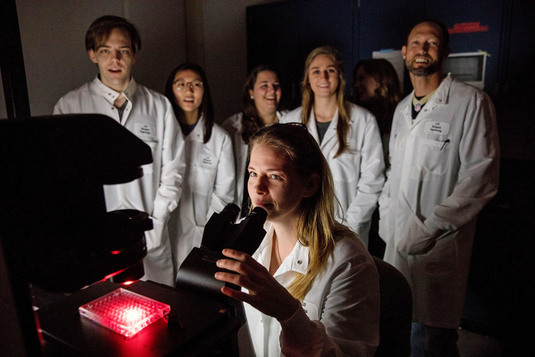 LSU breast cancer research