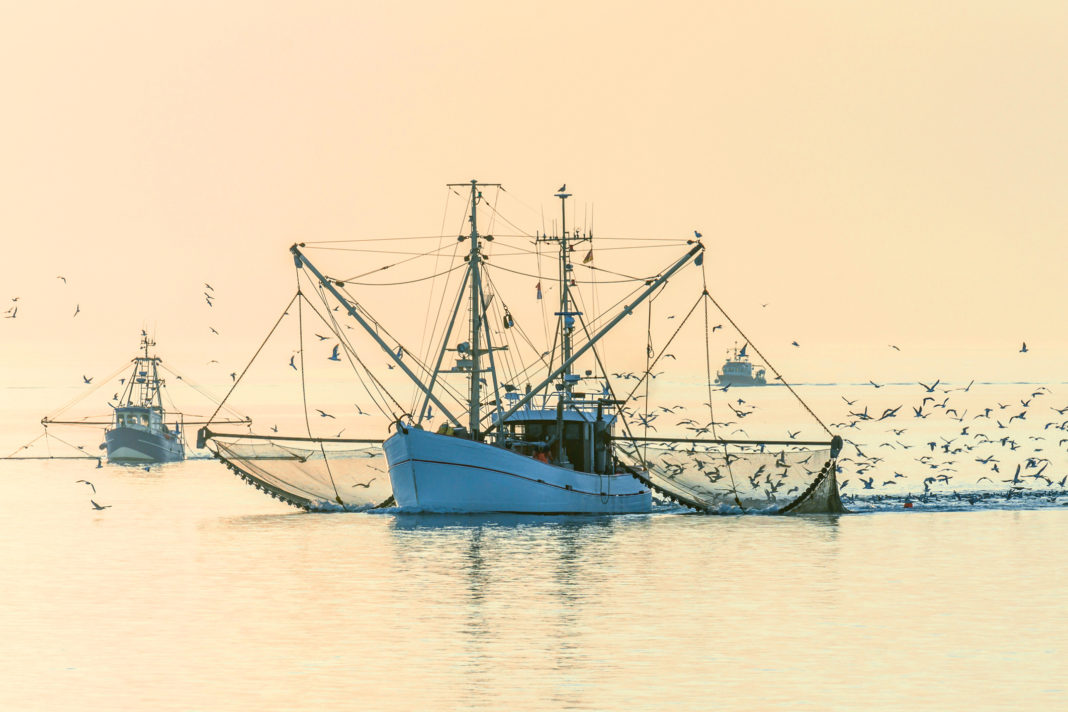 Fishing Boats with Nets and Swarm of Seagulls at Sunset, North Sea, Germany seafood industry Covid-19