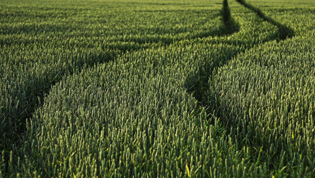 Tractor trail