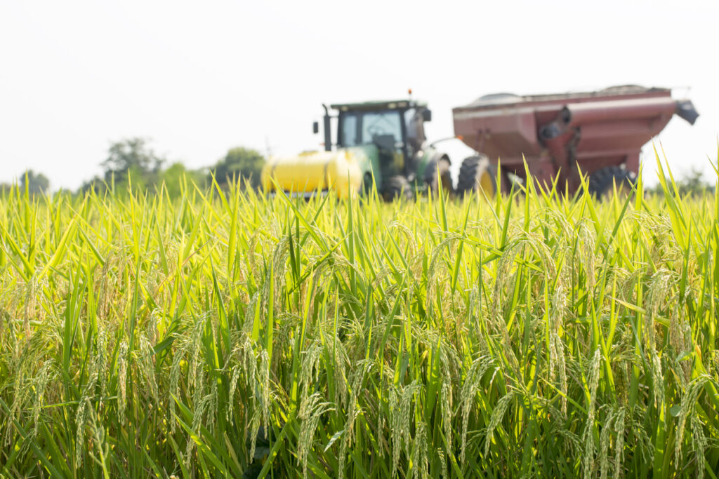 ‘LaPolitics’ Q&A: Energy and agriculture with the commissioner