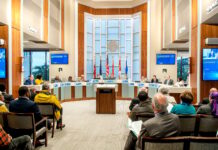 🔒 Why the Metro Council may revisit deconsolidation