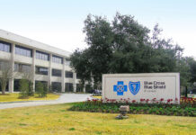 Louisiana Blue names a new president and CEO